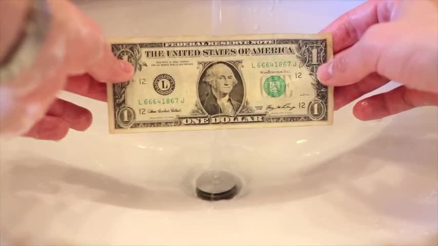 Money Duck