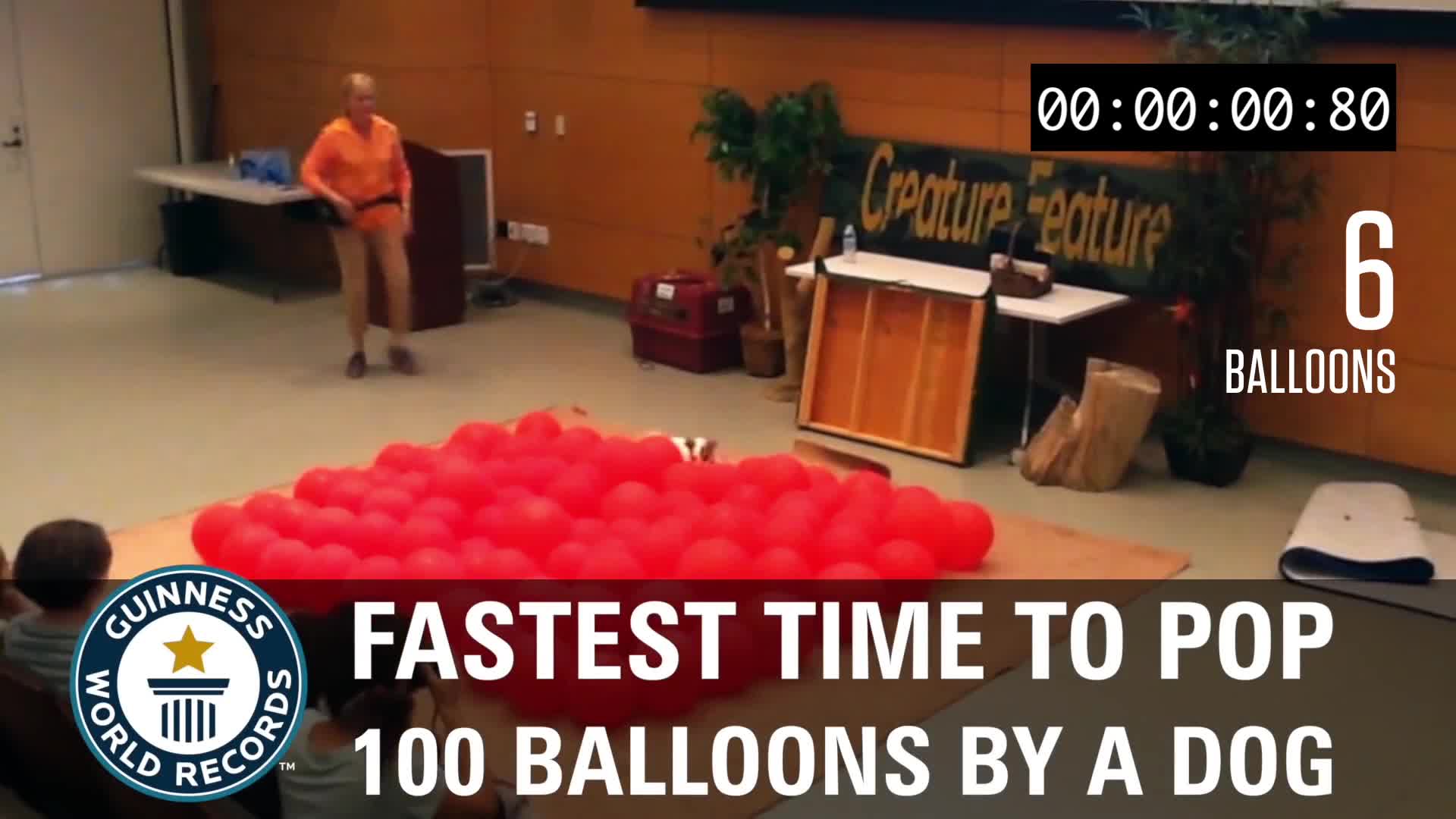 World Record Balloon Dog
