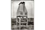 The Bat House